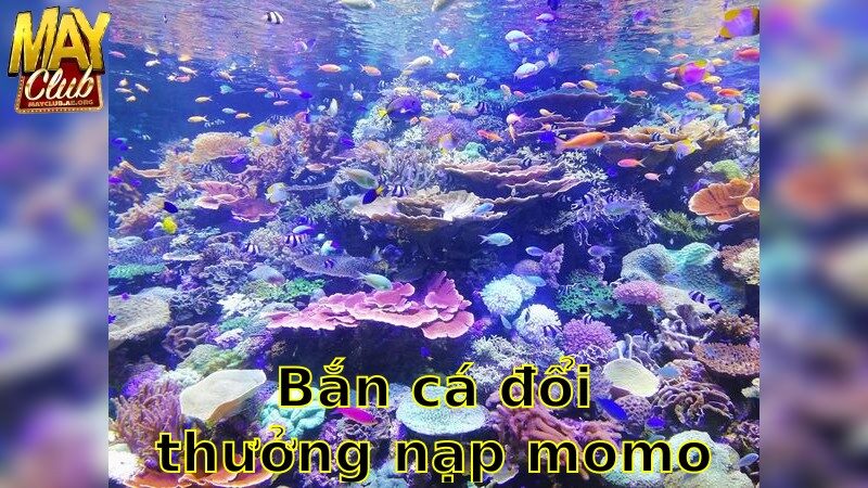 Bắn Cá Đổi Thưởng Nạp Momo – Thuận Tiện Thanh Toán 2025
