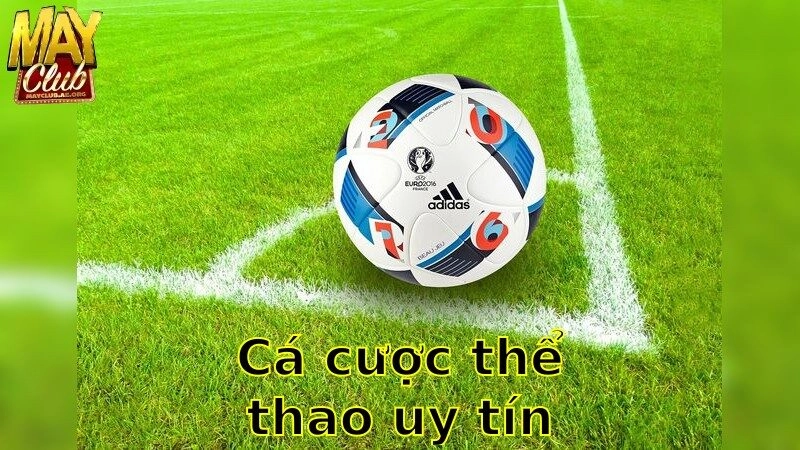 Cá Cược Thể Thao Uy Tín – Khám Phá Cơ Hội Thắng Lớn 2025