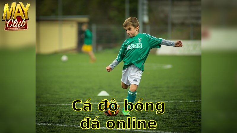 Cá Độ Bóng Đá Online – Trải Nghiệm Cá Cược Thú Vị 2025