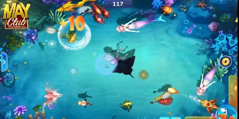 Khám phá sức hút khó cưỡng của bắn cá koi